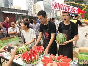 朝阳吃瓜群众网,揭秘娱乐圈幕后故事,带你领略不一样的娱乐圈